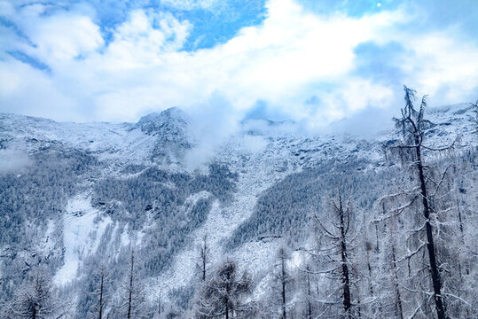 四川阿壩州達(dá)古冰川冬季冰天雪地
