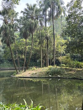 廣州越秀公園