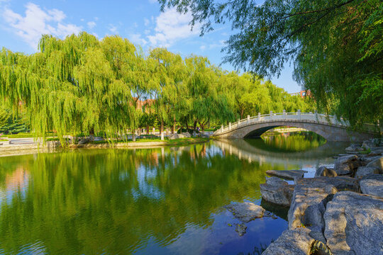 湖景高校