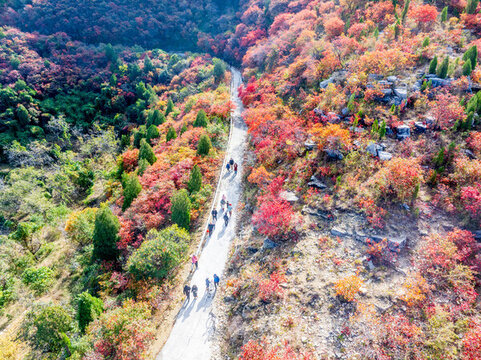 濟南彩石劈山紅葉