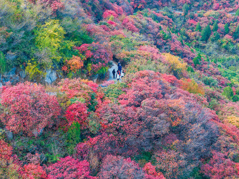 濟(jì)南彩石劈山紅葉