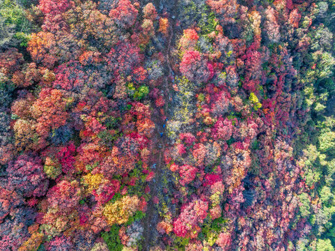 濟(jì)南彩石劈山紅葉