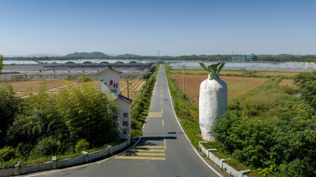 大塘鎮(zhèn)萬星村蔬菜基地