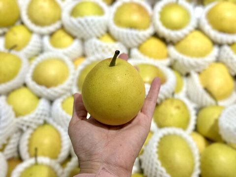 新鮮應(yīng)季水果香梨