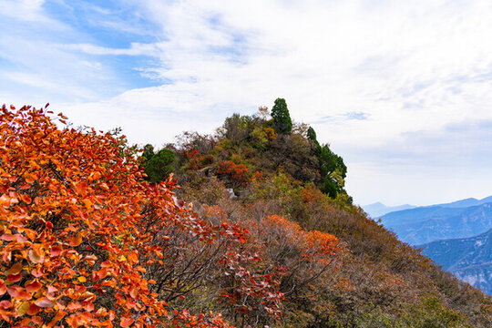 滿山紅葉的秋天美景