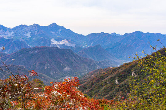 滿山紅葉的秋天美景