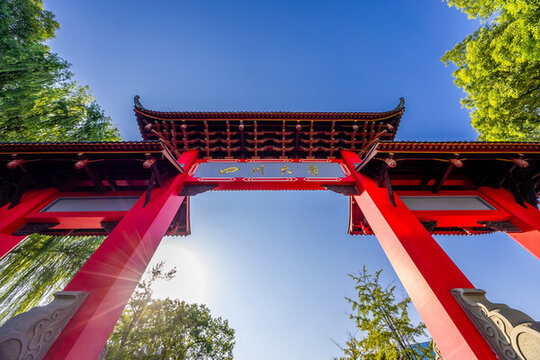 四川大學(xué)