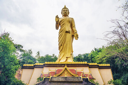 勐泐大佛寺的吉祥大佛與山林