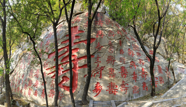 蒙山龜蒙景區(qū)百壽摩崖石刻