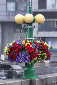 街頭裝飾花卉