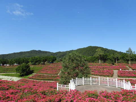 青秀山風景區(qū)