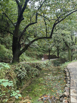 云丘山