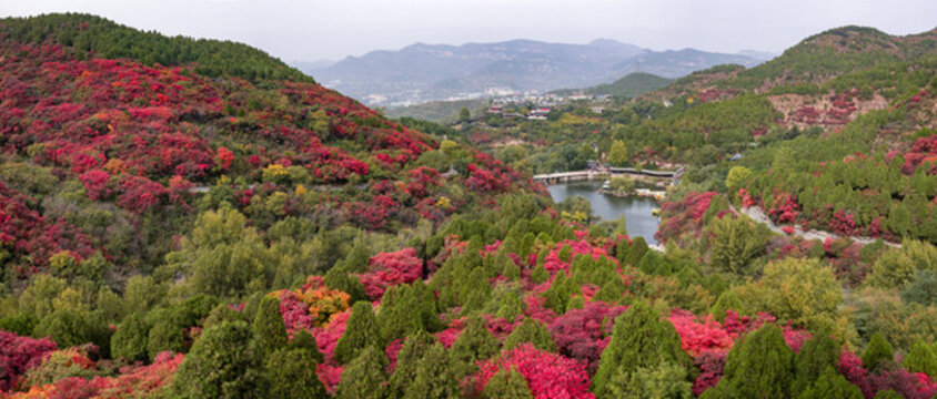 濟(jì)南紅葉谷高清大圖