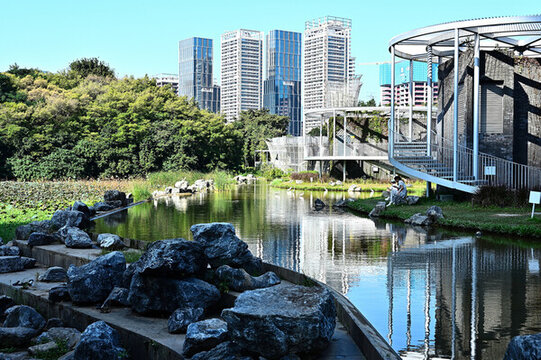 城市公園的自然景觀