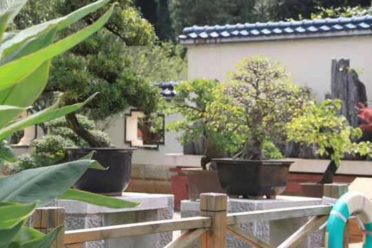 城市風(fēng)景