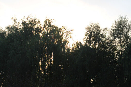 城市風(fēng)景