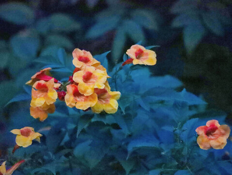 華南植物園