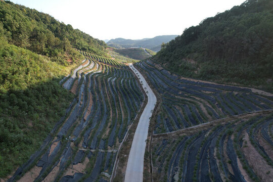 綠色山林秋景