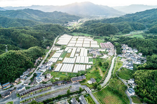 溫室大棚