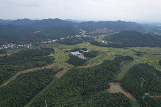 生態(tài)