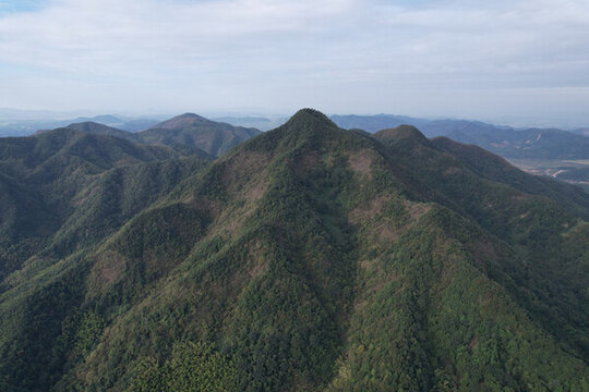 綠色山林秋景