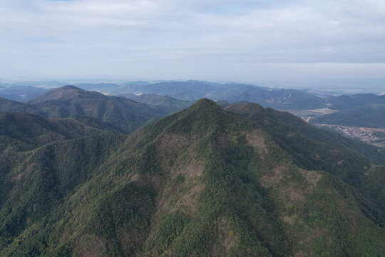 竹林大山寺廟
