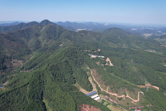 綠色山林秋景