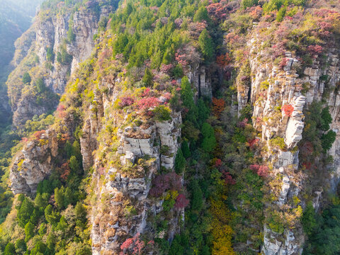 航拍濟南藏龍澗紅葉