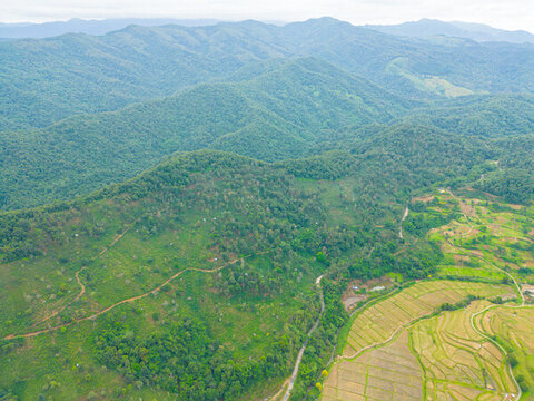 航拍農(nóng)田田園風(fēng)光