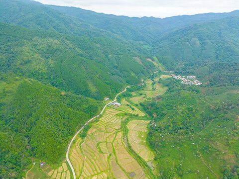 航拍農(nóng)田田園風(fēng)光