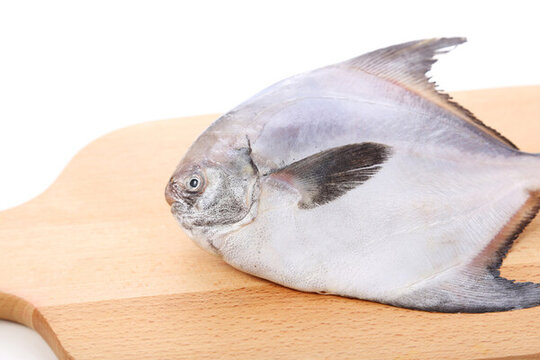 鯧魚白底圖