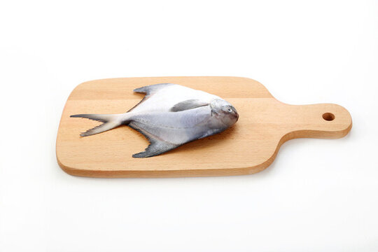 鯧魚白底圖