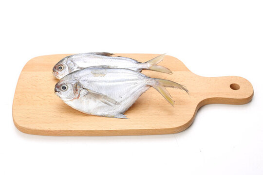 鯧魚白底圖