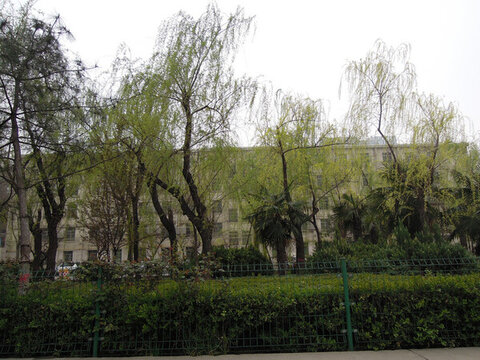 城市風(fēng)景