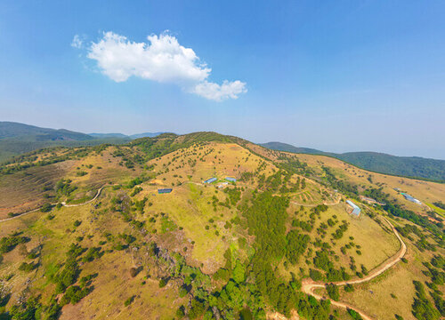 航拍山上的園林牧場田園風(fēng)光