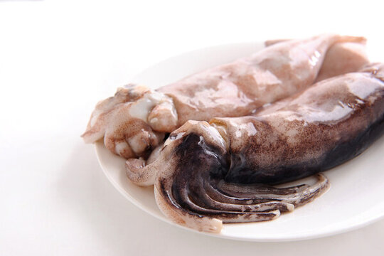 魷魚