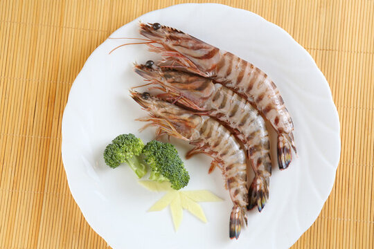 竹節(jié)蝦