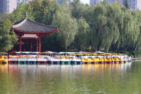 公園游船