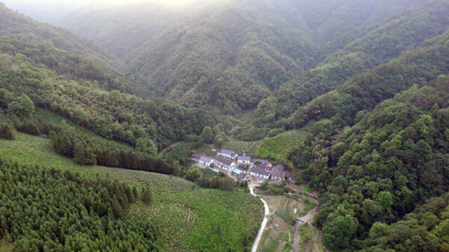 新棚村