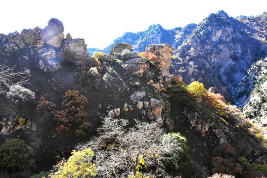 高山風景