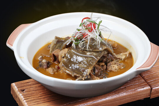 甲魚(yú)