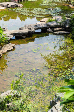 重慶江北鴻恩寺盆景園