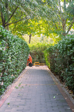 北京慶豐公園清晨的秋色