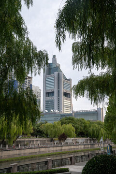 北京慶豐公園清晨的秋色