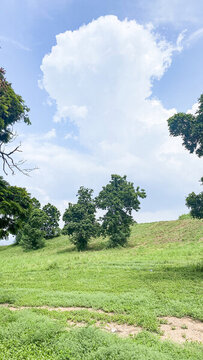小山坡