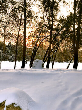 夕陽(yáng)雪景