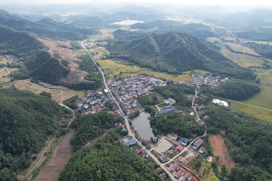 村落大山良田森林