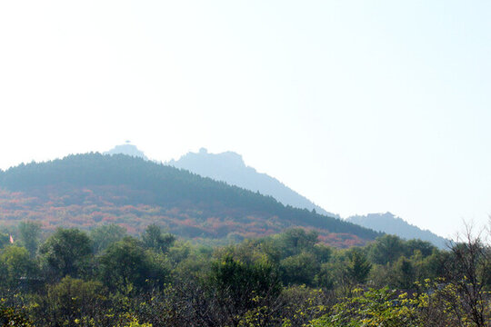 秋山
