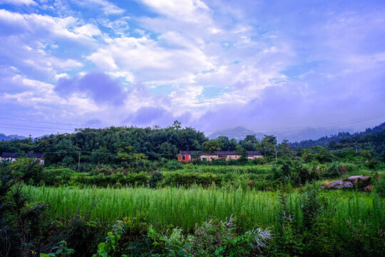 大悟龍?zhí)讹L景