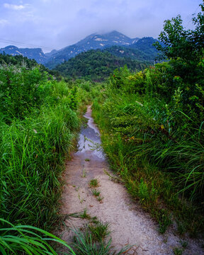 大悟龍?zhí)讹L(fēng)景